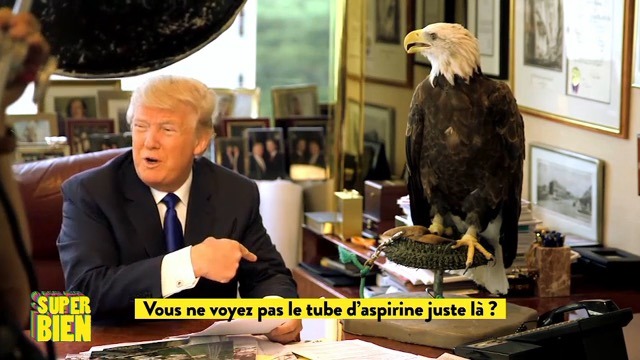 Donald Trump attaqué par un aigle en plein shooting photo !