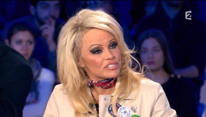 Pamela Anderson, invitée insolite à l’Assemblée Nationale