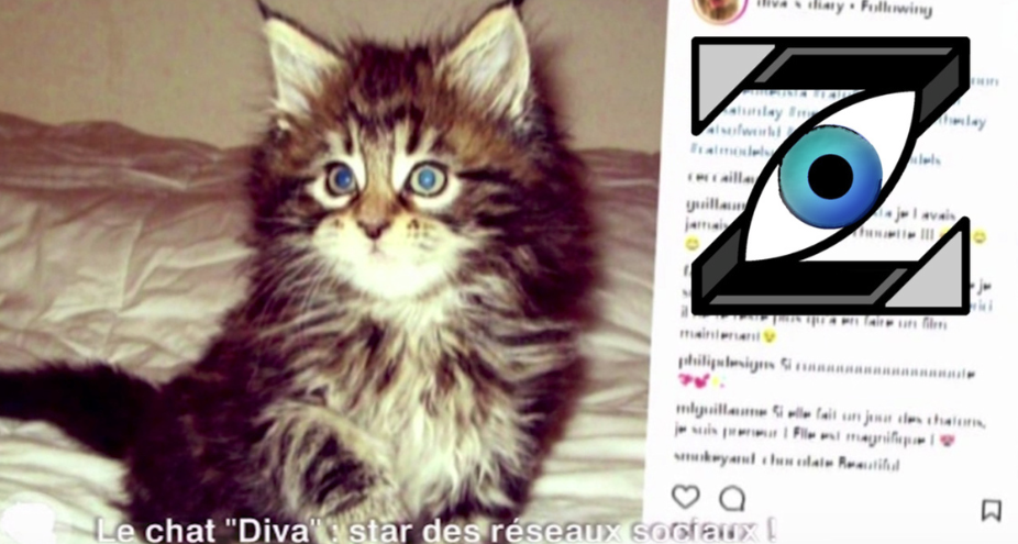 [Zap Télé] Diva : un chat plus heureux que vous ! (18/01/18)