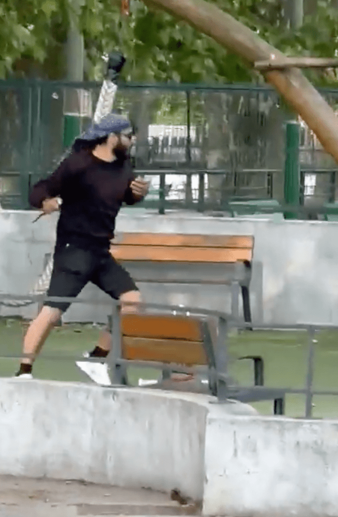 L'homme armé qui menace les gens et les attaque dans le parc d’Annecy 