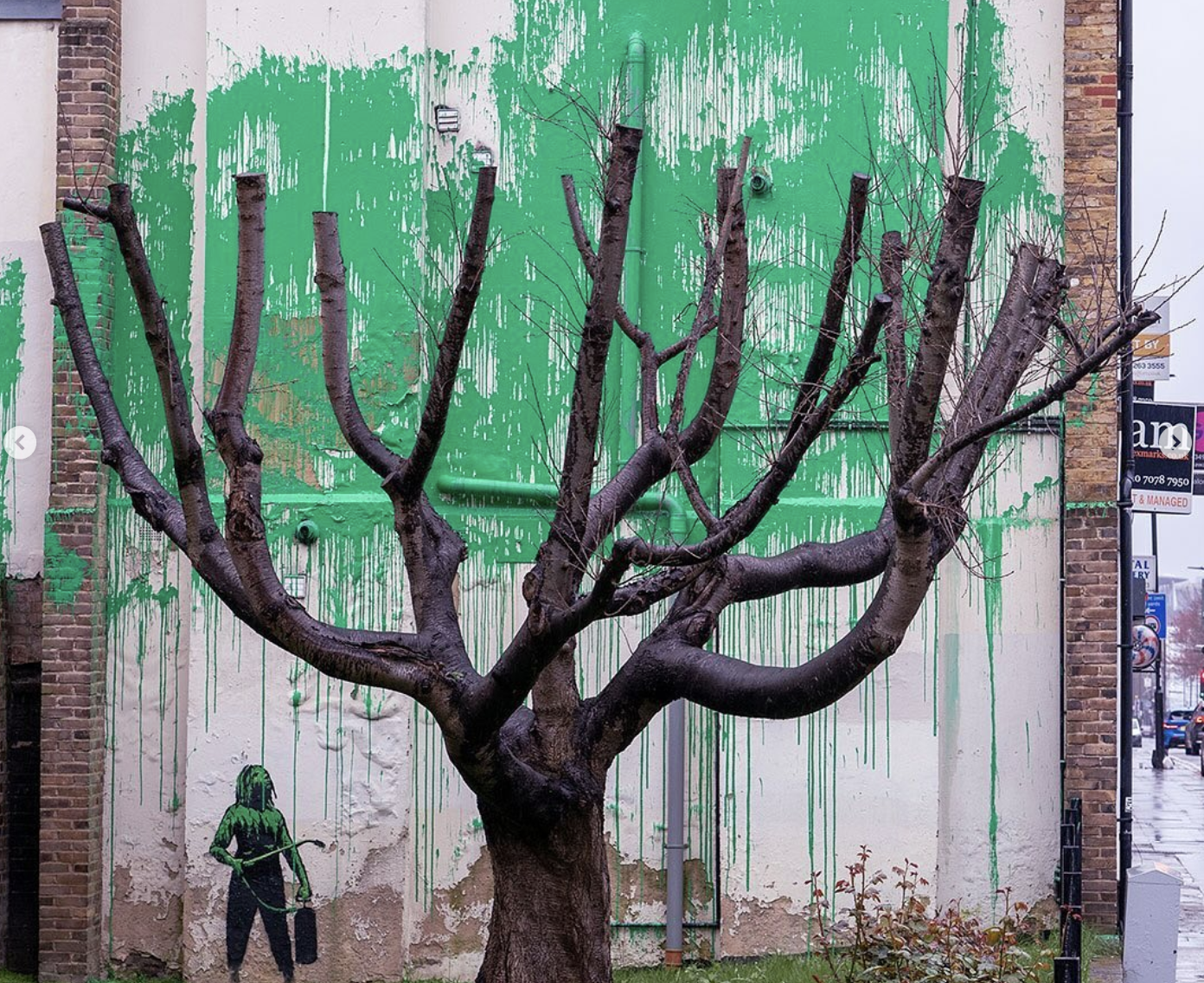 Banksy rhabille un arbre pour le printemps